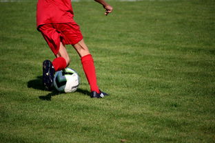 爱游戏体育（AYX）官方APP下载-鹈鹕青训体系被评为联盟样板项目，鹈鹕原来是哪个队